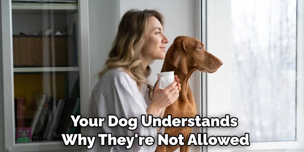 Your Dog Understands Why They're Not Allowed
