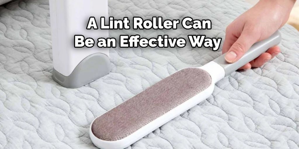 A Lint Roller Can Be an Effective Way 