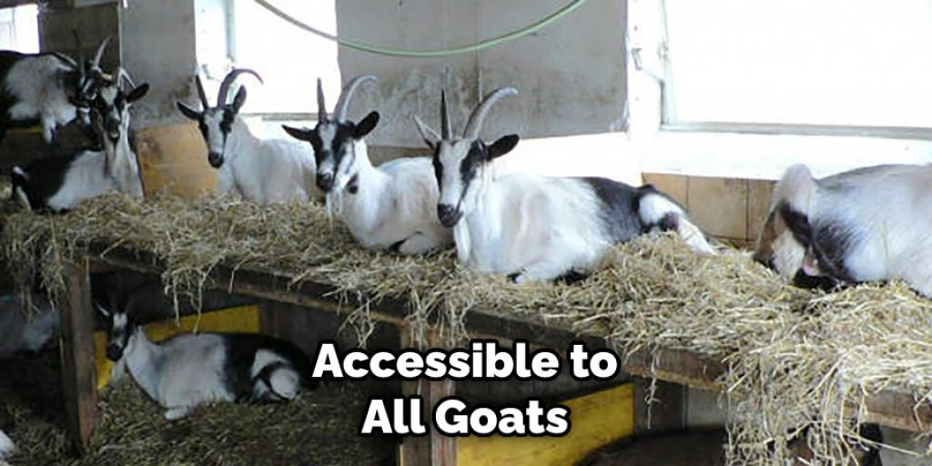Accessible to All Goats