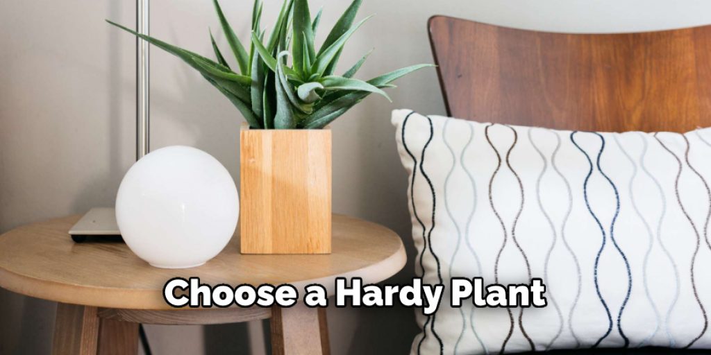  Choose a Hardy Plant