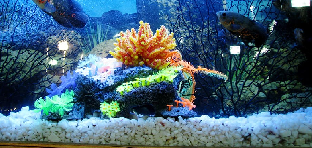 How to Clean a Fish Tank Without a Gravel Vacuum