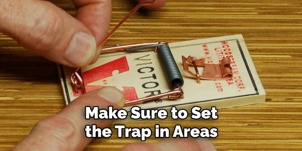 Make Sure to Set
the Trap in Areas