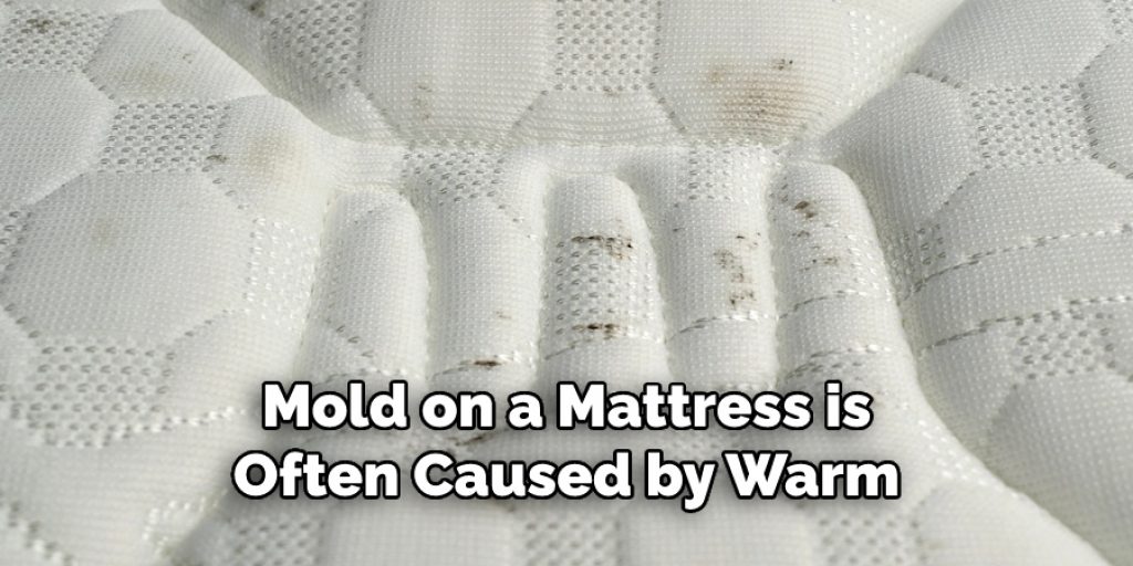 Mold on a Mattress is Often Caused by Warm