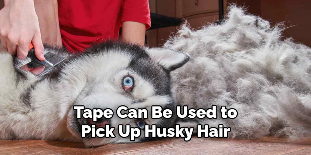 Tape Can Be Used to Pick Up Husky Hair