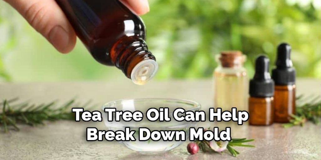 Tea Tree Oil Can Help
Break Down Mold 