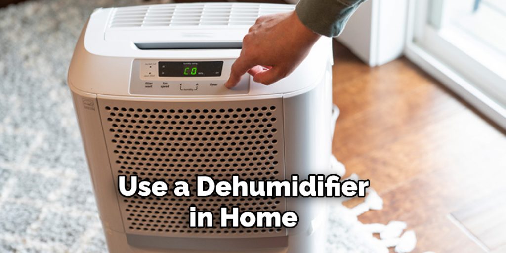 Use a Dehumidifier in Home