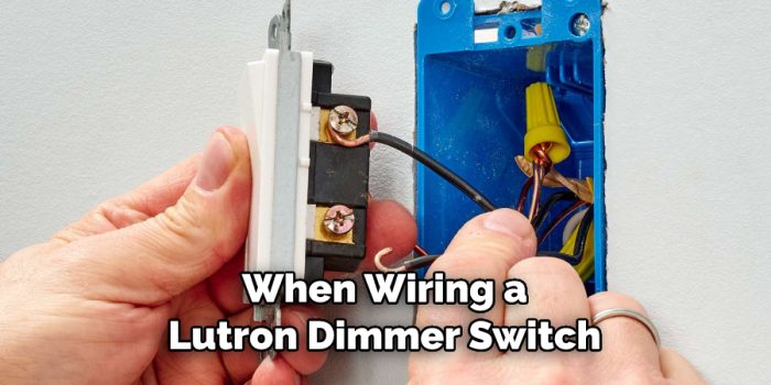 How to Wire a Lutron Dimmer Switch | 6 Easy Steps (2024)