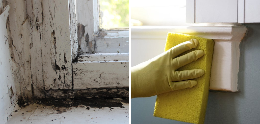 How to Get Rid of Mold on Windows