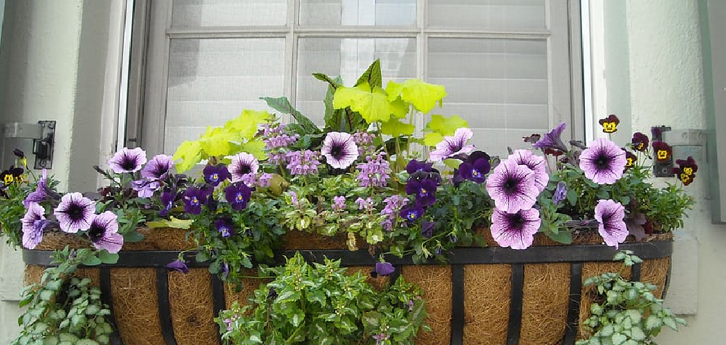 How to Hang a Window Box Without Drilling