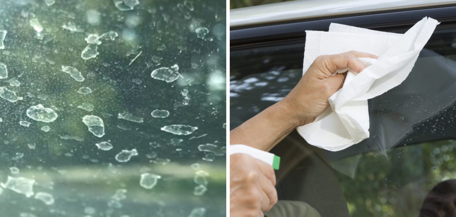 How To Remove Water Spots From Car Windows 7 Easy Tips 2024