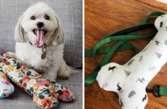 How to Make Dog Toys Out of Fabric