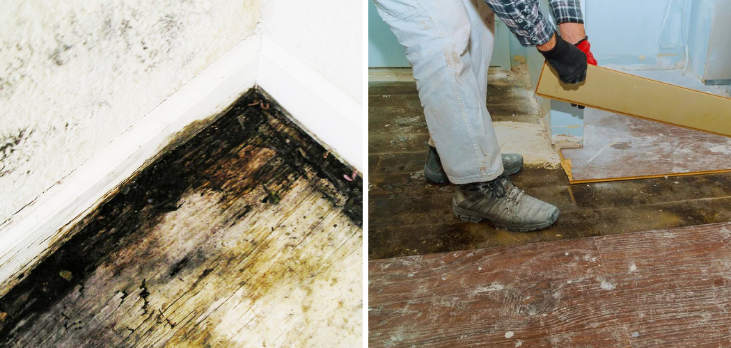 How to Get Rid of Mold Under Flooring