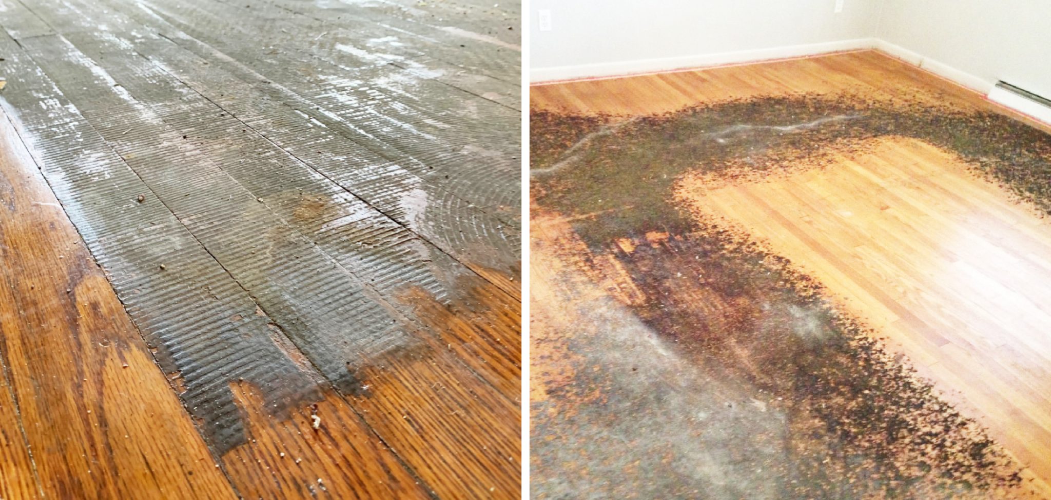 how-to-remove-carpet-strips-from-concrete-at-pricilla-elie-blog