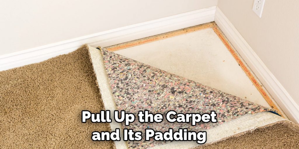 How to Remove Carpet from Hardwood Floor | 10 Easy Methods (2024)