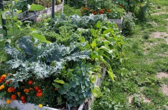 How to Clear a Vegetable Garden Full of Weeds