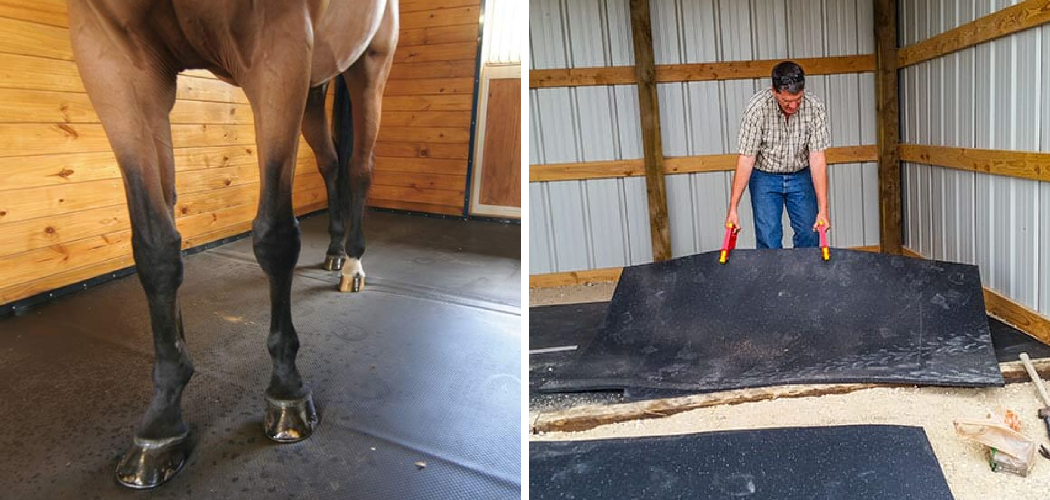 How to Clean Horse Stall Mats