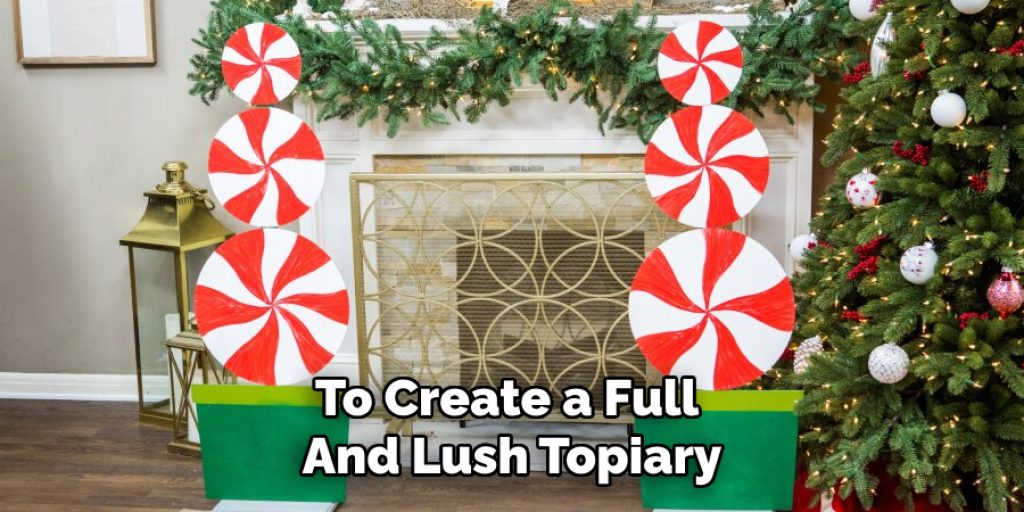 To Create a Full 
And Lush Topiary