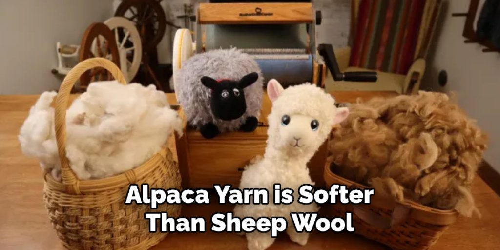 Alpaca Yarn is Softer Than Sheep Wool