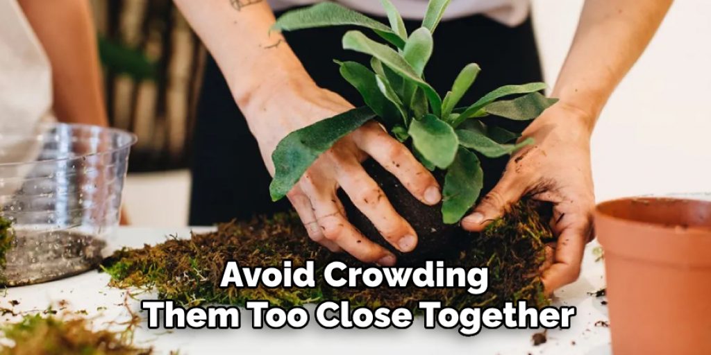 Avoid Crowding
Them Too Close Together
