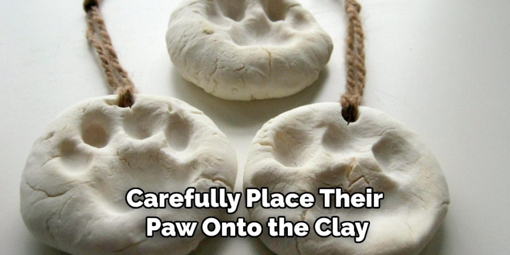 Carefully Place Their 
Paw Onto the Clay