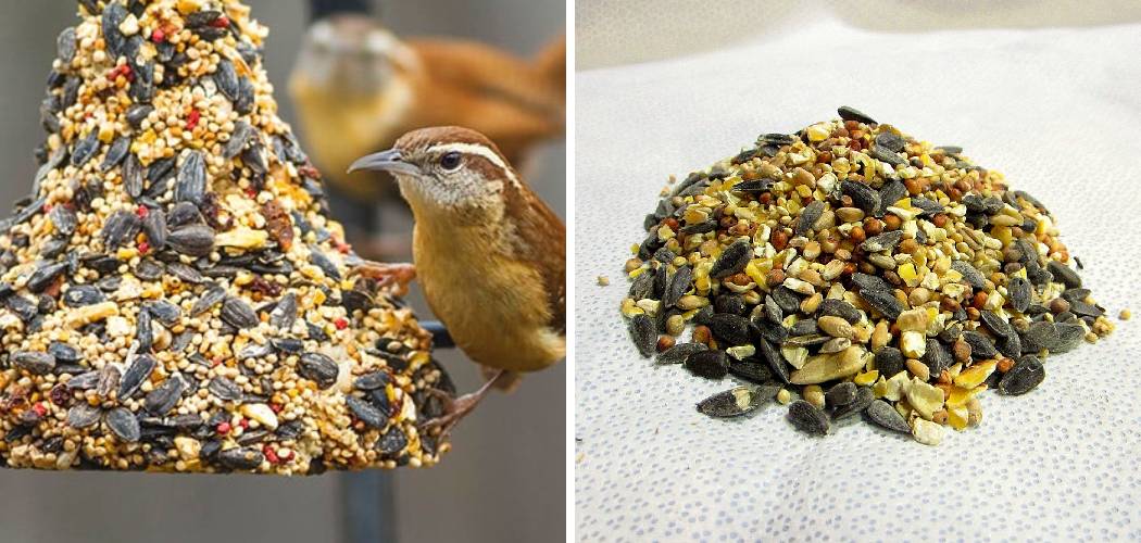 How to Make a Bird Seed Block