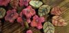 How to Make a Polymer Clay Flower