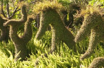How to Make a Topiary Frame