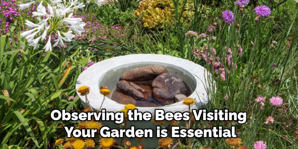 Observing the Bees Visiting
Your Garden is Essential