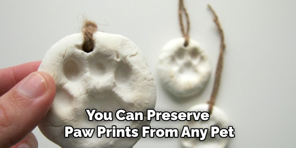 You Can Preserve 
Paw Prints From Any Pet