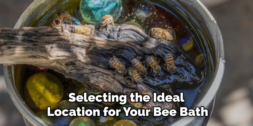 Selecting the Ideal
Location for Your Bee Bath