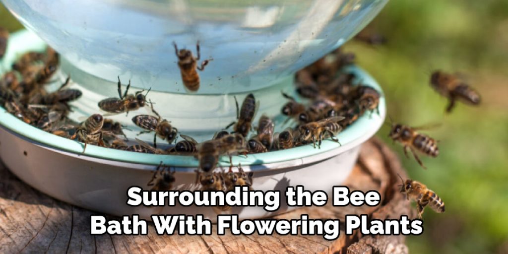 Surrounding the Bee
Bath With Flowering Plants