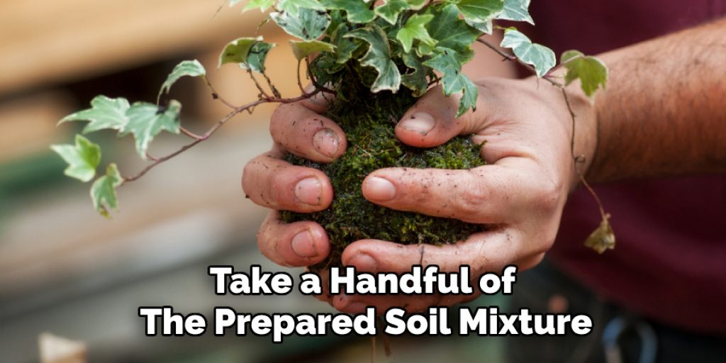 Take a Handful of
The Prepared Soil Mixture