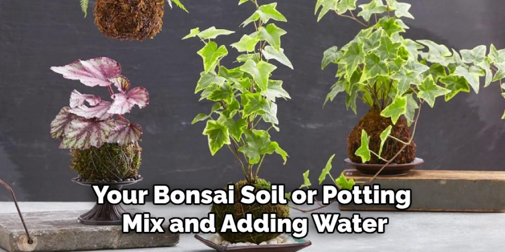 Your Bonsai Soil or Potting
Mix and Adding Water