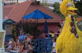 How to Make Big Bird Costume