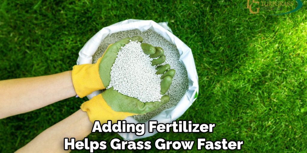 Adding Fertilizer
Helps Grass Grow Faster