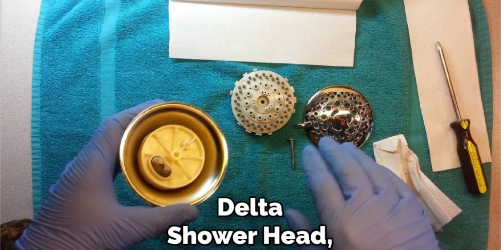 Delta shower head,