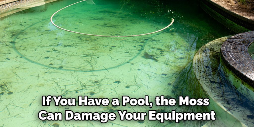 If You Have a Pool, the Moss Can Damage Your Equipment