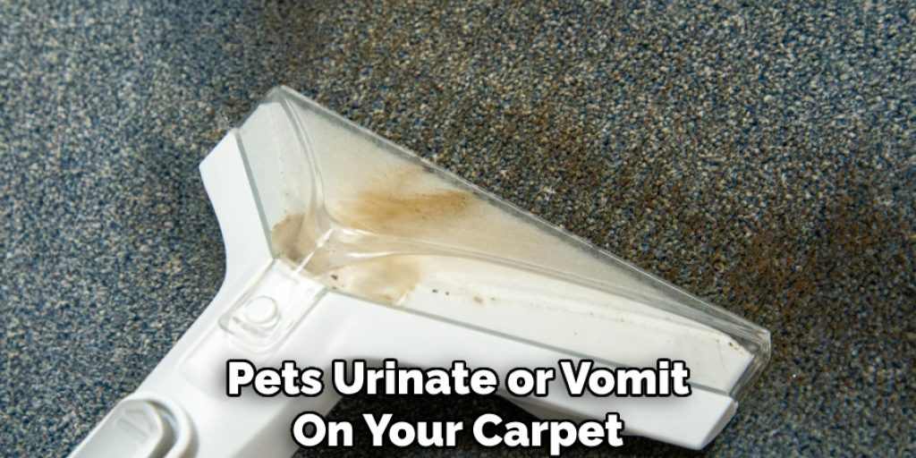 Pets Urinate or Vomit
On Your Carpet