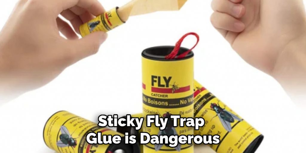 Sticky Fly Trap Glue is Dangerous