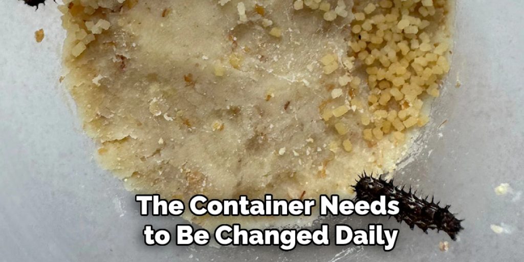 The Container Needs to Be Changed Daily