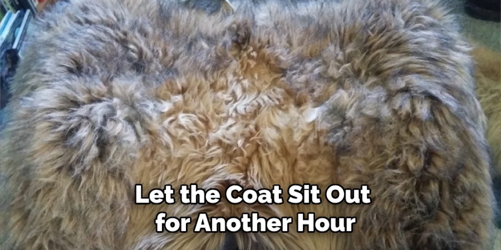 Let the Coat Sit Out for Another Hour