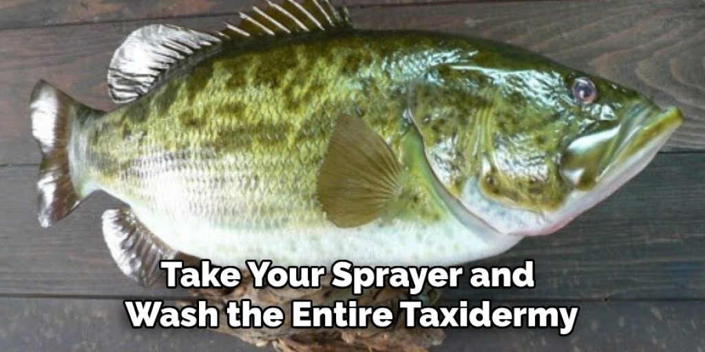 Take Your Sprayer and Wash the Entire Taxidermy