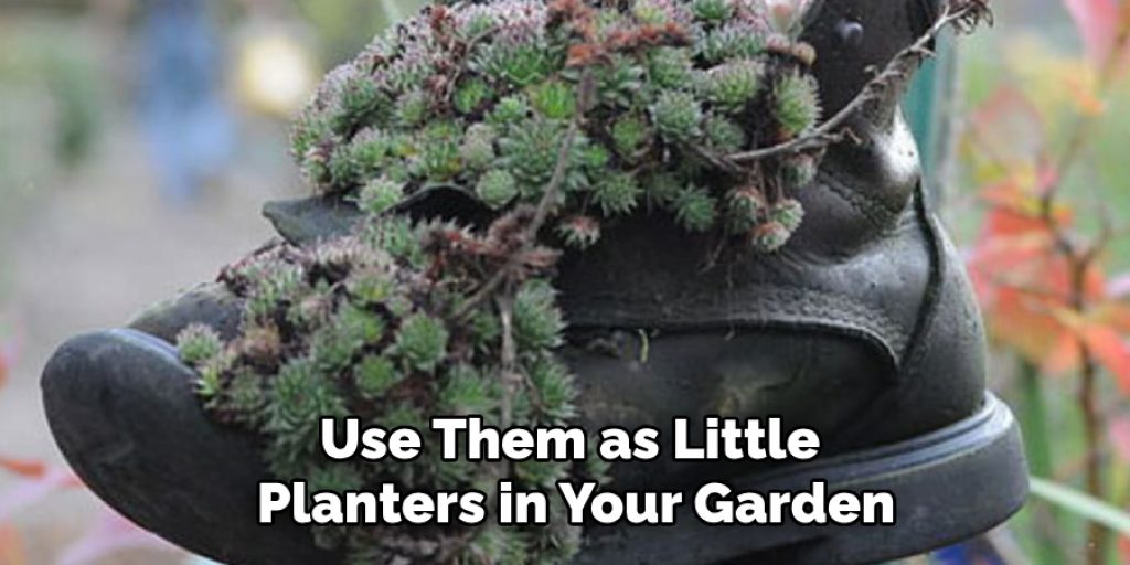 Use Them as Little Planters in Your Garden