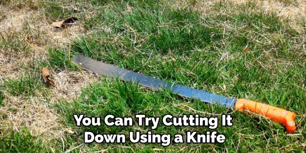 You Can Try Cutting It Down Using a Knife